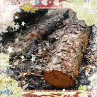 My First Image
