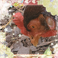 My Second Image